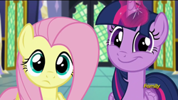 Size: 1280x720 | Tagged: safe, derpibooru import, screencap, fluttershy, twilight sparkle, twilight sparkle (alicorn), alicorn, pegasus, pony, the hooffields and mccolts, big eyes, crazy eyes, crazy face, crazy smile, discovery family logo, faic, female, frown, grin, looking at you, magic, mare, smiling, smirk, squint, twiface, twilight's castle, wide eyes, wrong neighborhood