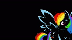 Size: 1920x1080 | Tagged: safe, artist:braukoly, rainbow dash, pegasus, pony, blue coat, female, mare, multicolored mane, wallpaper