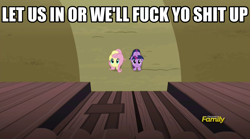 Size: 1920x1071 | Tagged: safe, derpibooru import, screencap, fluttershy, twilight sparkle, twilight sparkle (alicorn), alicorn, pegasus, pony, the hooffields and mccolts, discovery family logo, female, image macro, mare, meme, vulgar