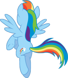 Size: 6022x6867 | Tagged: safe, artist:birthofthepheonix, rainbow dash, pegasus, pony, absurd resolution, simple background, solo, transparent background, vector