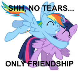 Size: 984x900 | Tagged: safe, edit, rainbow dash, twilight sparkle, twilight sparkle (alicorn), alicorn, pegasus, pony, hug, jimmies, text