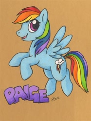 Size: 451x603 | Tagged: safe, artist:michele light, rainbow dash, pegasus, pony, blue coat, female, mare, multicolored mane