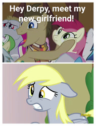 Size: 1165x1536 | Tagged: safe, edit, edited screencap, screencap, bulk biceps, derpy hooves, doctor whooves, roseluck, shining armor, earth pony, pony, unicorn, slice of life (episode), triple threat, comic, doctorrose, female, friendzone, male, mare, screencap comic, shipping, shipping denied, squishy cheeks, stallion, straight