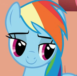 Size: 512x503 | Tagged: safe, screencap, rainbow dash, pegasus, pony, bedroom eyes, cropped, female, mare, smiling, solo