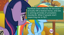 Size: 500x277 | Tagged: safe, screencap, rainbow dash, twilight sparkle, pegasus, pony, fall weather friends, bondage, meta, offensive ponies, rainbond dash, rope, text, tied up, unsexy bondage