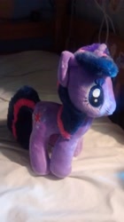 Size: 1456x2592 | Tagged: safe, derpibooru import, twilight sparkle, irl, photo, plushie