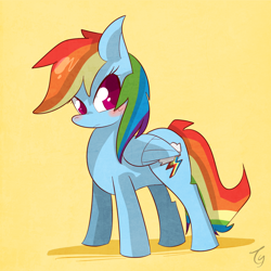 Size: 1200x1200 | Tagged: safe, artist:kty159, rainbow dash, pegasus, pony, blushing, colored pupils, female, looking at you, mare, simple background, solo, standing, yellow background