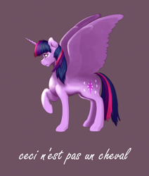 Size: 1086x1280 | Tagged: safe, artist:jykinturah, derpibooru import, twilight sparkle, twilight sparkle (alicorn), alicorn, pony, female, french, mare, rené magritte, solo, the treachery of images