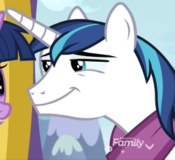 Size: 735x671 | Tagged: safe, screencap, shining armor, twilight sparkle, twilight sparkle (alicorn), alicorn, pony, unicorn, best gift ever, cropped, discovery family logo, faic, male, reaction image, smug, solo focus, stallion