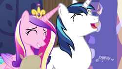 Size: 912x513 | Tagged: safe, screencap, princess cadance, shining armor, alicorn, pony, unicorn, best gift ever, duo, eyes closed, female, flour, laughing, male, mare, stallion