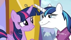 Size: 1920x1080 | Tagged: safe, screencap, shining armor, twilight sparkle, twilight sparkle (alicorn), alicorn, pony, unicorn, best gift ever, brother and sister, confused, discovery family logo, duo, female, male, mare, raised eyebrow, siblings, smiling, smug, stallion, suspicious, twilynanas