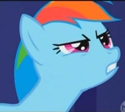 Size: 378x338 | Tagged: safe, rainbow dash, pegasus, pony, blue coat, female, mare, multicolored mane, reaction image