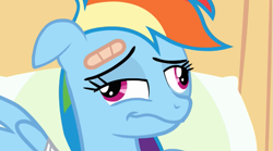 Size: 761x424 | Tagged: safe, screencap, rainbow dash, pegasus, pony, read it and weep, bandage, bandaid, derp, faic