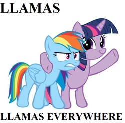 Size: 569x560 | Tagged: safe, rainbow dash, twilight sparkle, pegasus, pony, image macro, twiface, x x everywhere