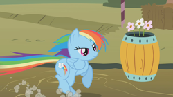 Size: 1280x720 | Tagged: safe, screencap, rainbow dash, pegasus, pony, fall weather friends, animation error, barrel, running, solo