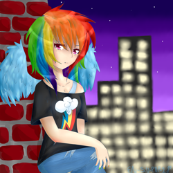 Size: 3000x3000 | Tagged: safe, artist:canadanian, rainbow dash, humanized, solo, winged humanization