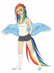 Size: 1960x2640 | Tagged: safe, artist:pitchtwinkle, rainbow dash, eared humanization, humanized, solo, tailed humanization, winged humanization