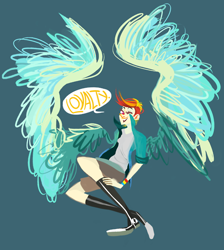 Size: 500x559 | Tagged: safe, artist:kvitrika, rainbow dash, humanized, loyalty, one word, short hair, skinny, winged humanization, wings, wristband