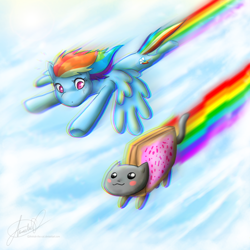 Size: 800x800 | Tagged: safe, artist:amirah-the-cat, rainbow dash, cat, pegasus, pony, crossover, flying, nyan cat