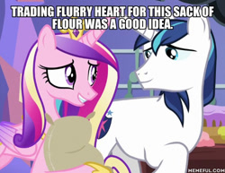 Size: 600x462 | Tagged: safe, edit, edited screencap, screencap, princess cadance, shining armor, alicorn, pony, unicorn, best gift ever, bad parenting, caption, image macro, meme, text