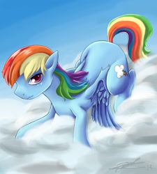 Size: 1800x2000 | Tagged: safe, artist:vanefox, rainbow dash, pegasus, pony, cloud, cloudy, solo