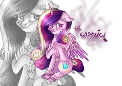 Size: 1024x719 | Tagged: safe, artist:fireheartsk, princess cadance, alicorn, pony, female, mare, sitting, solo, unshorn fetlocks