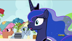 Size: 1920x1080 | Tagged: safe, screencap, princess luna, alicorn, pony, a royal problem, background pony, discovery family logo, elderly, female, flower, huh, male, mare, shocked, stallion, unnamed pony