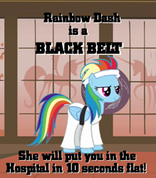 Size: 629x718 | Tagged: safe, artist:boss-hoss1, rainbow dash, pegasus, pony, blue coat, female, image macro, mare, multicolored mane, reaction image, solo