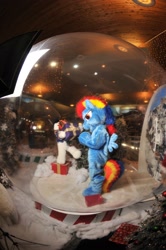 Size: 2136x3216 | Tagged: safe, rainbow dash, human, christmas, fursuit, irl, irl human, photo