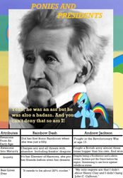 Size: 632x910 | Tagged: safe, rainbow dash, pegasus, pony, andrew jackson, chart, major general, meta, ponies and presidents, president, sideburns