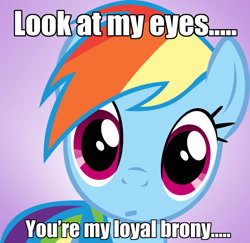 Size: 900x873 | Tagged: safe, rainbow dash, pegasus, pony, brony, bronybait, eyes, hypnosis, pet, stare