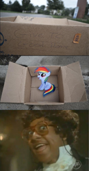 Size: 580x1118 | Tagged: safe, rainbow dash, pegasus, pony, dashie meme, evil people finding dash meme, exploitable meme, filly, steve urkel