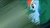 Size: 1136x640 | Tagged: safe, screencap, rainbow dash, pegasus, pony, blue coat, female, mare, multicolored mane, solo