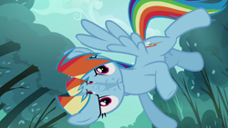 Size: 1280x720 | Tagged: safe, artist:capnpea, edit, edited screencap, screencap, rainbow dash, pegasus, pony, fimbriae, wat