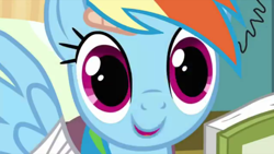 Size: 1436x811 | Tagged: safe, screencap, rainbow dash, pegasus, pony, read it and weep, book, bust, looking at you, solo