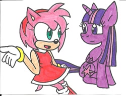 Size: 723x556 | Tagged: safe, artist:cmara, derpibooru import, twilight sparkle, twilight sparkle (alicorn), alicorn, pony, amy rose, crossover, female, mare, sonic the hedgehog (series), traditional art