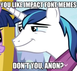 Size: 657x600 | Tagged: safe, edit, edited screencap, screencap, shining armor, twilight sparkle, pony, unicorn, best gift ever, caption, image macro, impact font, lidded eyes, meme, reaction image, smug, text