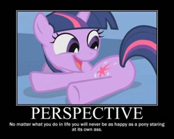 Size: 720x576 | Tagged: safe, derpibooru import, screencap, twilight sparkle, pony, cutie mark, demotivational poster, filly, filly twilight sparkle, flank, meme, plot, ponies, vulgar