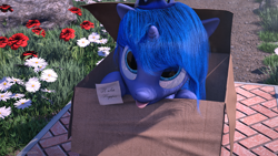 Size: 2560x1440 | Tagged: safe, artist:thelunagames, princess luna, alicorn, pony, 3d, :p, box, cinema 4d, cute, doorstep, female, filly, flower, looking at you, lunabetes, note, pony in a box, russian, solo, tongue out, translated in the comments, woona, younger