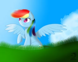 Size: 1280x1024 | Tagged: safe, artist:mechashockwave, rainbow dash, pegasus, pony, blue coat, female, mare, multicolored mane