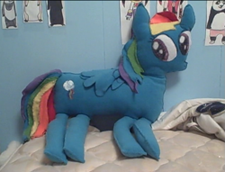 Size: 859x657 | Tagged: safe, artist:plushbuddies, rainbow dash, pegasus, pony, female, irl, mare, photo, plushie, ronbow dosh