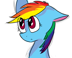 Size: 1000x800 | Tagged: safe, artist:charity650, rainbow dash, pegasus, pony, blue coat, female, mare, multicolored mane