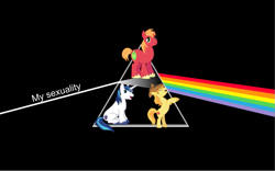 Size: 959x600 | Tagged: safe, edit, editor:countcoltnackh, big macintosh, braeburn, shining armor, earth pony, pony, unicorn, album cover, black background, caption, exploitable meme, hat, image macro, implied gay, male, meme, pink floyd, prism, rainbow, shitposting, simple background, stallion, text, the dark side of the moon, vector, yeehaw