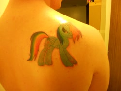 Size: 1600x1200 | Tagged: safe, rainbow dash, pegasus, pony, blue coat, brony, female, mare, multicolored mane, photo, solo, tattoo