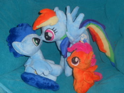 Size: 1024x768 | Tagged: artist needed, safe, rainbow dash, scootaloo, soarin', adopted offspring, female, irl, male, parent:rainbow dash, parent:soarin', parents:soarindash, photo, plushie, scootadoption, shipping, soarindash, straight