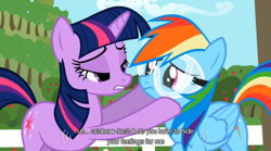 Size: 500x277 | Tagged: safe, edit, screencap, rainbow dash, twilight sparkle, pegasus, pony, lesson zero, female, lesbian, shipping, twidash, youtube caption