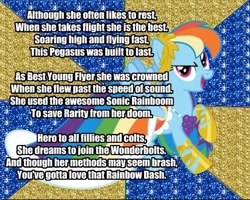 Size: 496x396 | Tagged: safe, artist:snakeman1992, rainbow dash, pegasus, pony, blue coat, female, mare, meme, multicolored mane, poem, solo