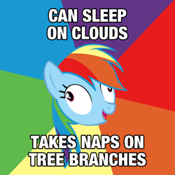 Size: 750x750 | Tagged: safe, rainbow dash, pegasus, pony, blue coat, derp, female, image macro, mare, multicolored mane, rainbow derp, solo