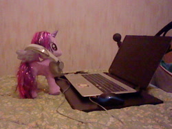 Size: 640x480 | Tagged: safe, derpibooru import, twilight sparkle, twilight sparkle (alicorn), alicorn, pony, bed, computer, female, headphones, irl, mare, photo, plushie, ty