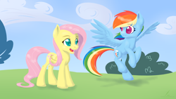 Size: 3200x1800 | Tagged: safe, artist:funnyfany, fluttershy, rainbow dash, pegasus, pony